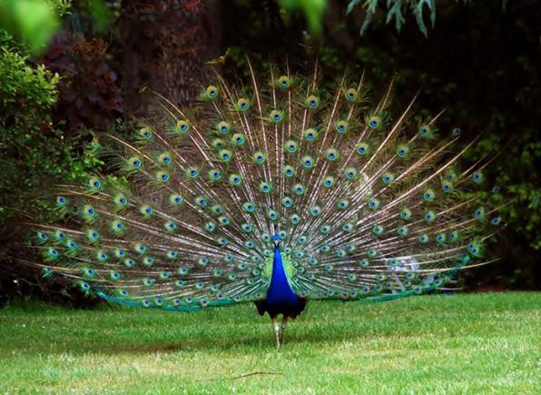 Paó al Parc Samà