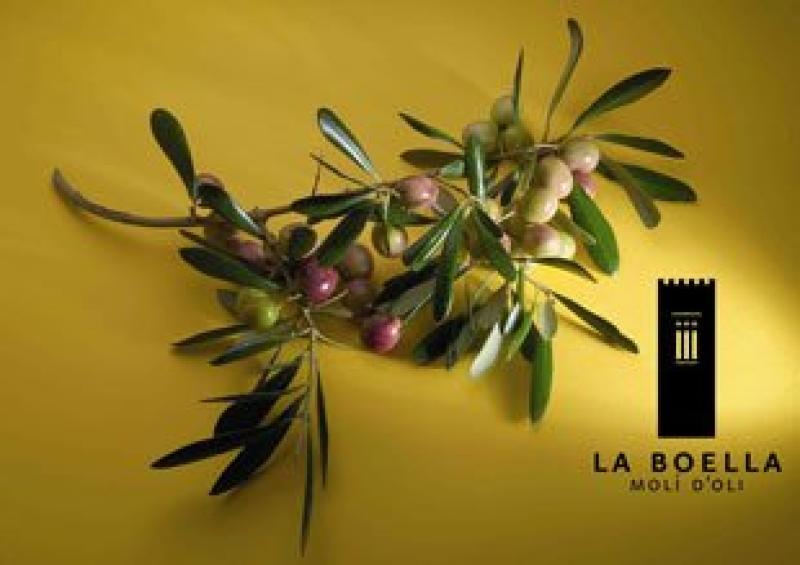 La Boella prepara la 'Fiesta del Aceite' m&aacute;s exclusiva de la Costa Dorada