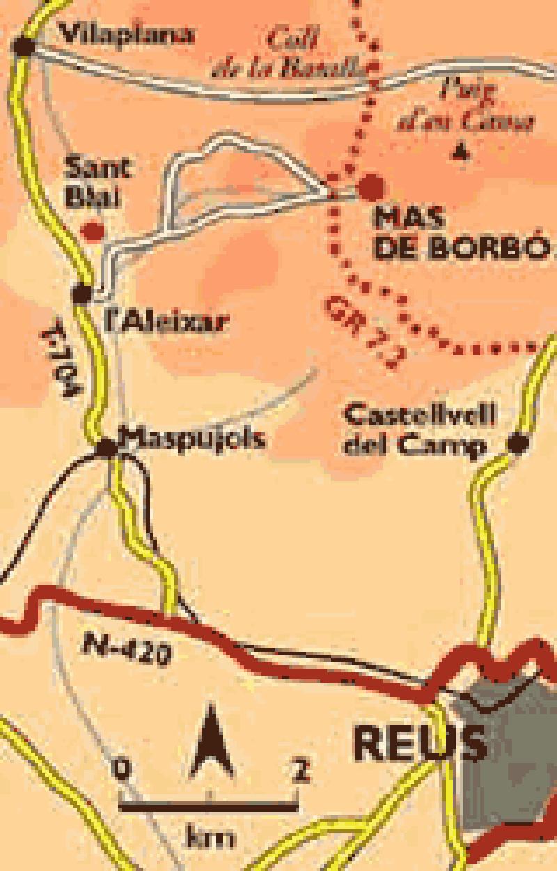 L'alzina del mas de Borb&oacute;. La m&eacute;s vella