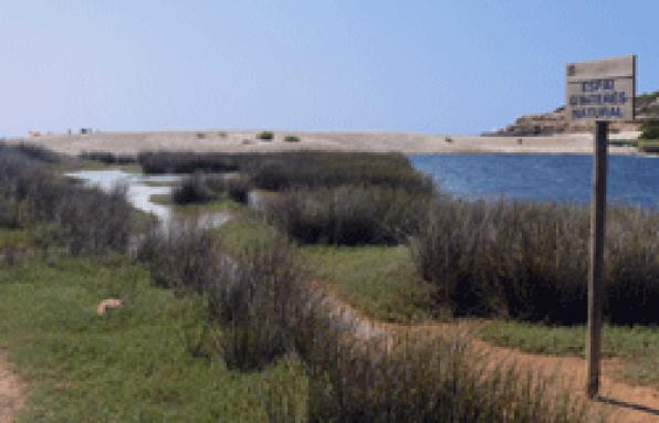 Camps d'oliveres i masies de l'Ametlla de Mar