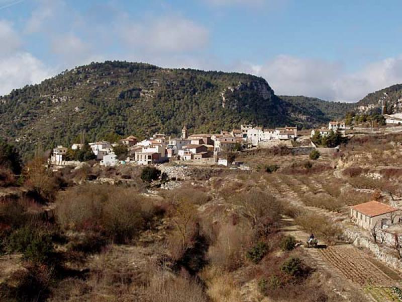 la Febr&oacute;