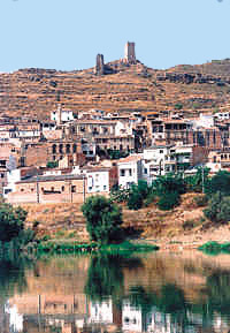 Asc&oacute;