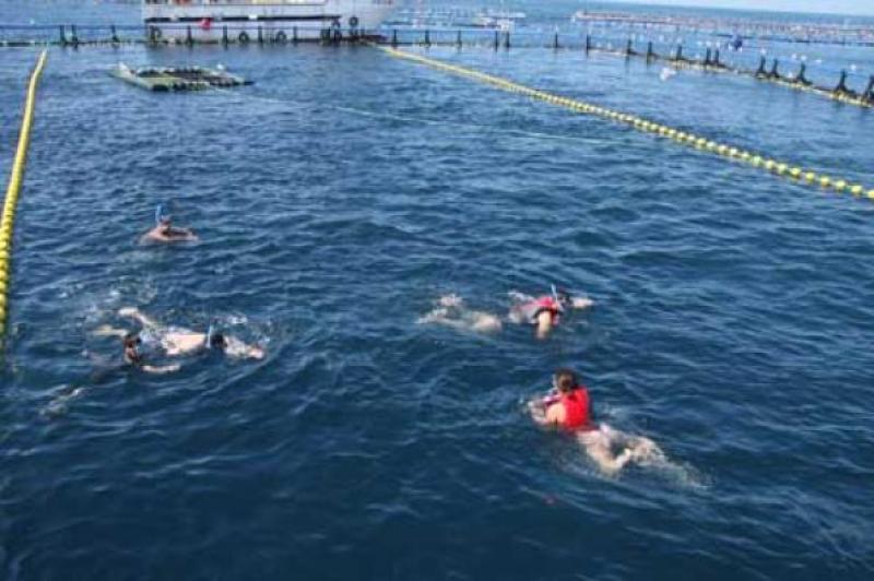 Balfeg&oacute; Tuna Tour para ba&ntilde;arse entre atunes en Ametlla de Mar