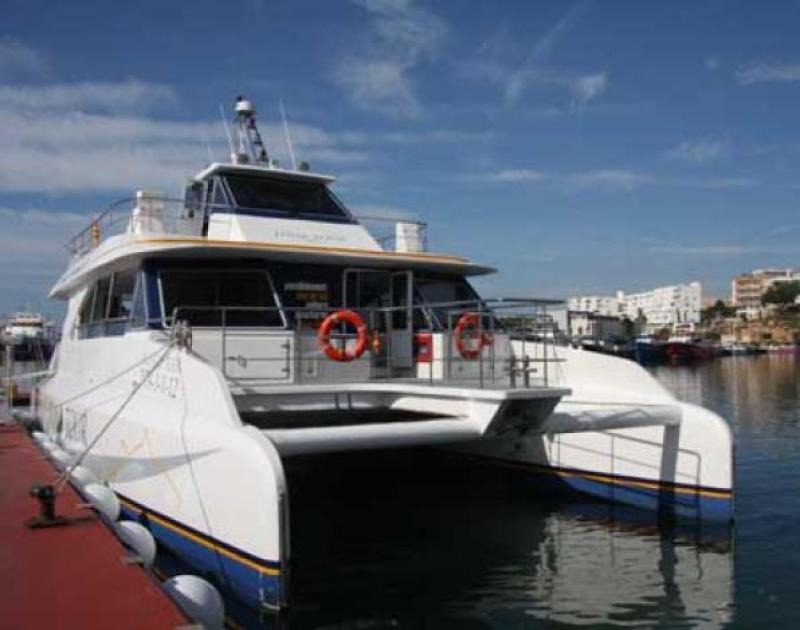 Banyar-se entre tonyines a Ametlla de Mar amb Balfeg&oacute; Tuna Tour