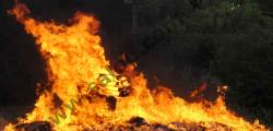 Gran fiesta en la playa de Salou para celebrar Sant Joan