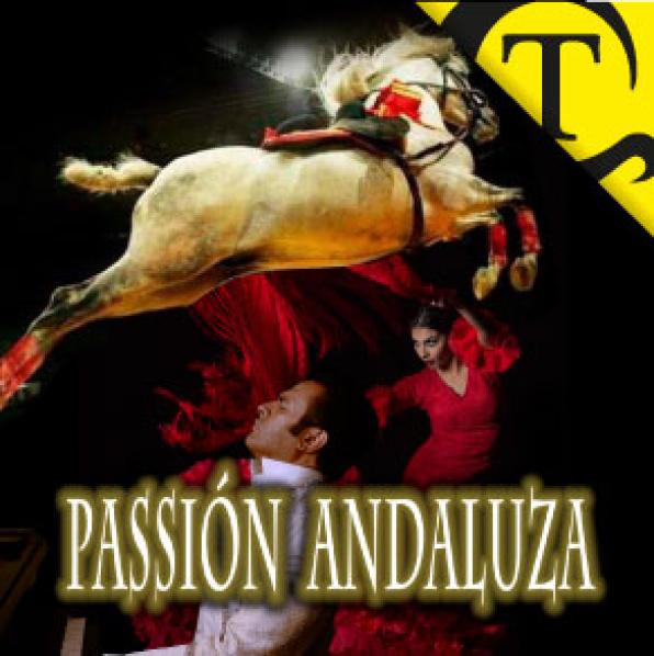 Horses and flamenco in Pasión Andaluza