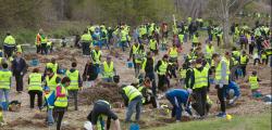 More than 800 people participated in the Plantada Popular al Francolí