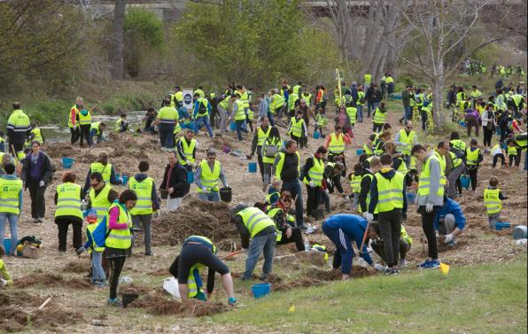 The 800 participants planted 1,400 bushes of six species.