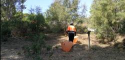 Limpieza en la zona arbolada del Cap de Salou