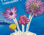 Display of fireworks this July in Tarragona