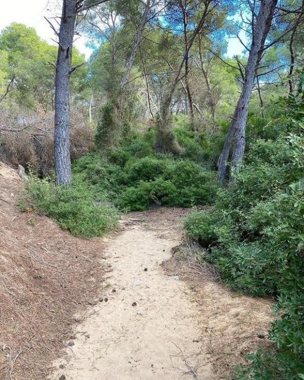 El Camí de Ronda té gran valor mediambiental i paisatgístic