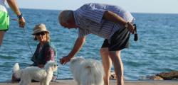 Holidays with pets: Salou destination Pet-Friendly