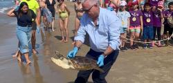 More sustainable, safe and healthy beaches