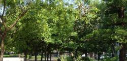 Refugis clim&agrave;tics a Salou