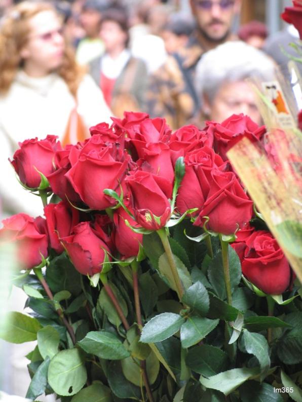 Un Sant Jordi repleto de actividades lúdicas y culturales en Reus y Tarragona 1