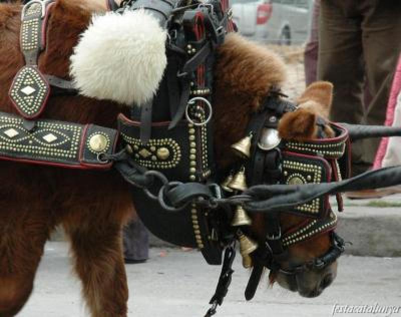 Calafell celebrar&aacute; la 61a Fiesta de los Tres Tombs