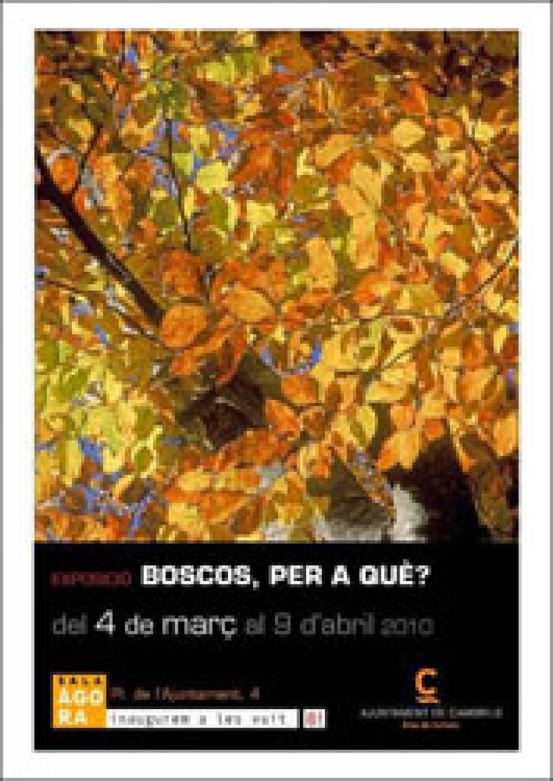 Cambrils. Sala Agora. Exposici&oacute;.